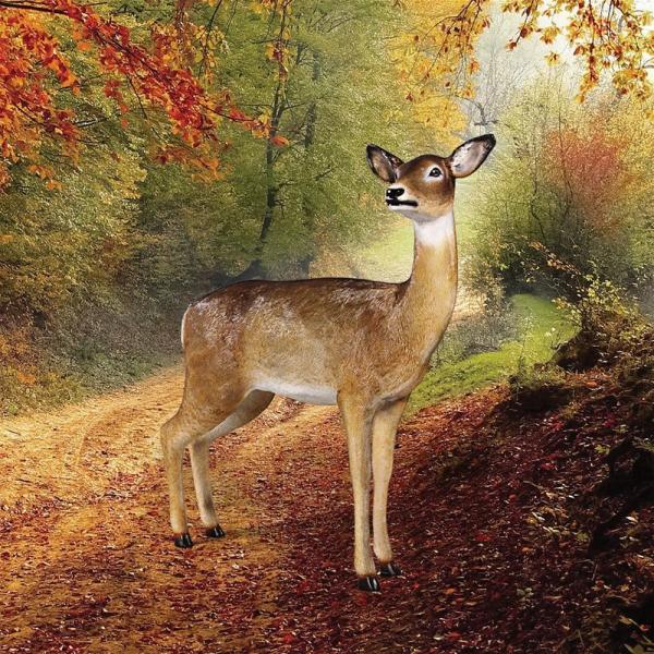 Doe White Tail Deer Statue plus freight