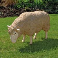 Merino Ewe Head Down plus freight-DTNE867046