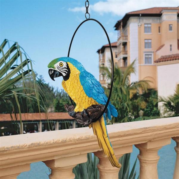 Medium Polly In Paradise Parrot plus freight