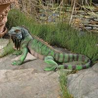 Iggy The Iguana Statue plus freight-DTQL56991