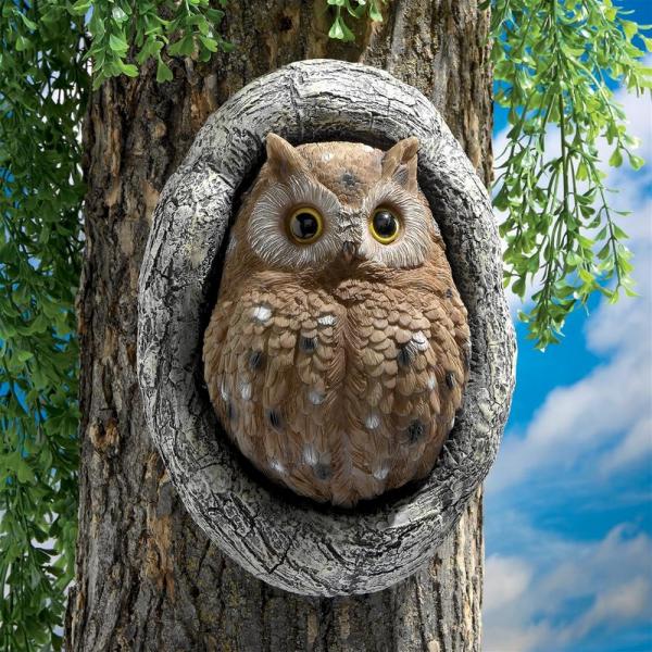Octavius Knot Hole Owl plus freight