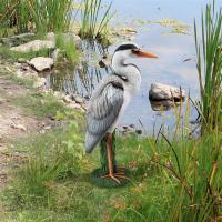 Gray Heron Coastal Bird Statue plus freight-DTQM2756500