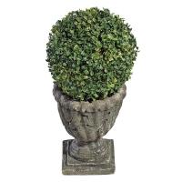 19.5 In Boxwood Ball Topiary plus freight-DTSE11155