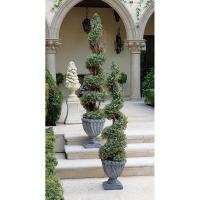 60 In Spiral Boxwood Topiary plus freight-DTSE6014