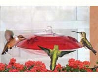 Window Hummingbird Feeder-DYWH3