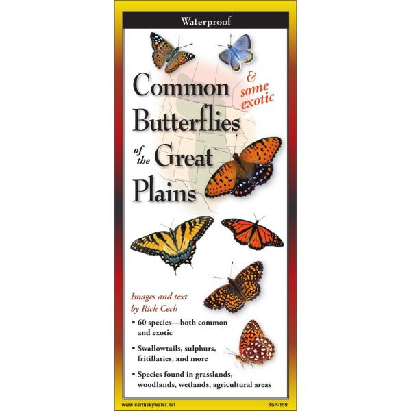 Common Butterflies of Great Plains Common Butterflies of Great Plains
