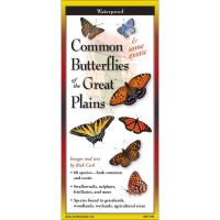 Common Butterflies of Great Plains-LEWERSBGP159