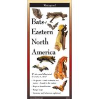 Bats of Eastern North America-LEWERSBNA165