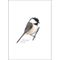 Chickadee Greeting Cards-LEWERSGC299