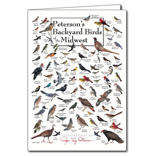 Backyard Birds of Midwest Greeting Card