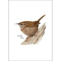 Carolina Wren Greeting Cards-LEWERSGC397