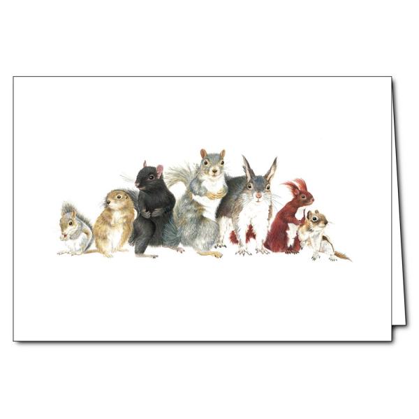 Squirrels Greeting Cards Squirrels Greeting Cards