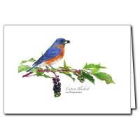 Eastern Bluebird on Pokeweed Greeting Cards-LEWERSGC724