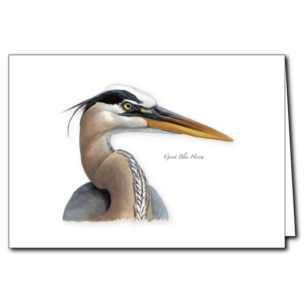 Great Blue Heron Greeting Cards