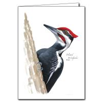 Pileated Woodpecker Greeting Cards-LEWERSGC920