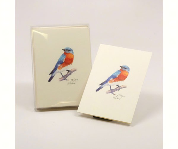 Western Bluebird Notecards