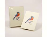Western Bluebird Notecards-LEWERSNC104