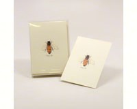 Honey Bee Notecards-LEWERSNC110