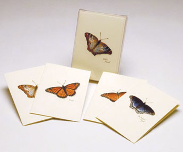 Butterfly Notecard Assortment II