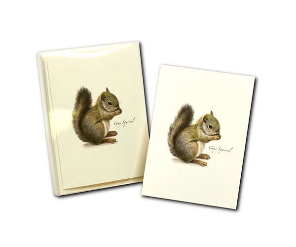 Gray Squirrel Boxed Notecards