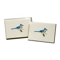 Blue Jay Notecards-LEWERSNC204