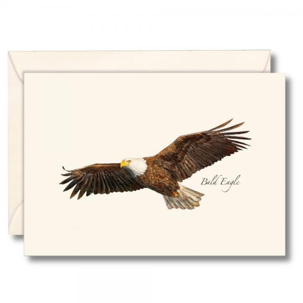 Bald Eagle Notecards