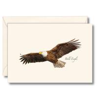 Bald Eagle Notecards-LEWERSNC212