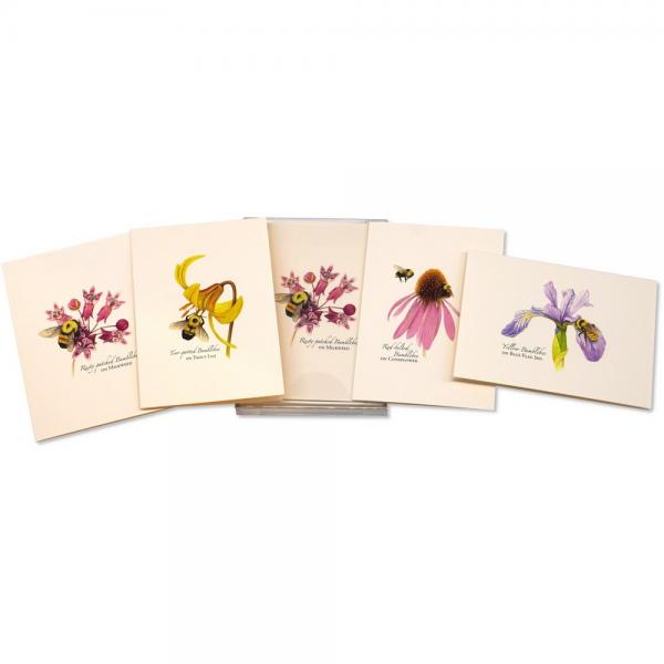 Bumblebee Assortment Notecards