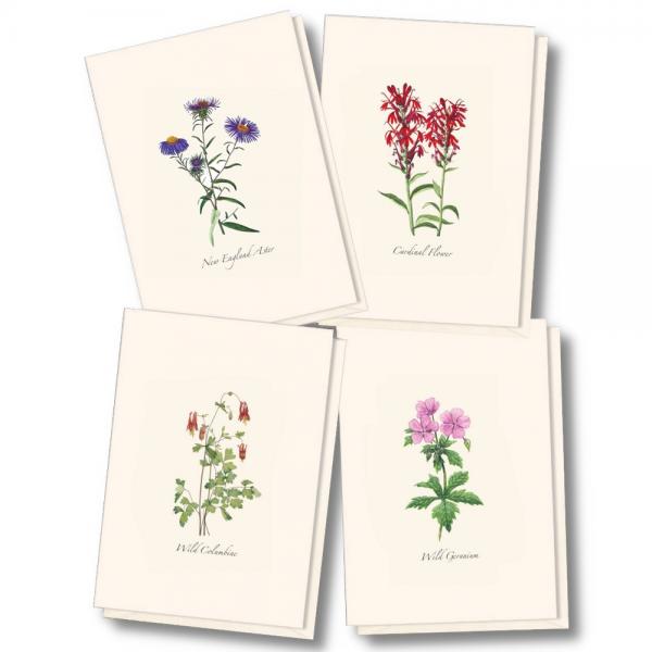 Meadow Wildflower Assorted Notecards