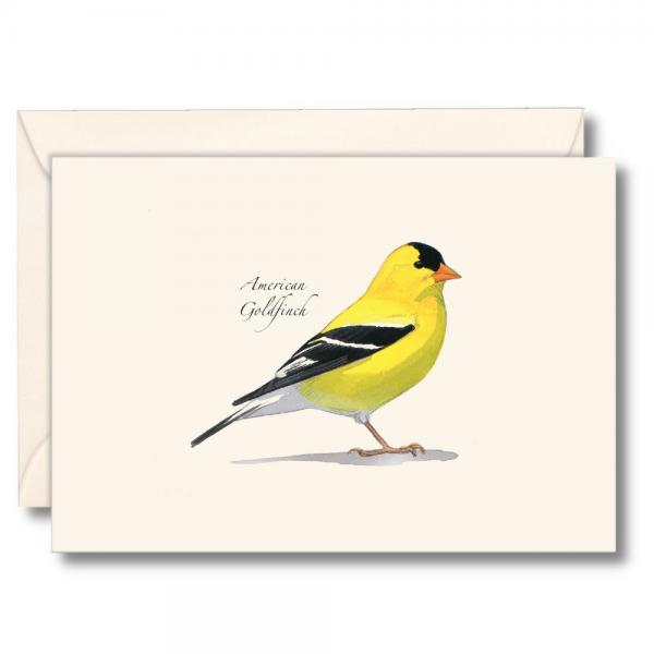 Sibley's American Goldfinch Notecards