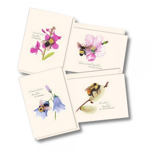 Spring Bee Asst Notecards