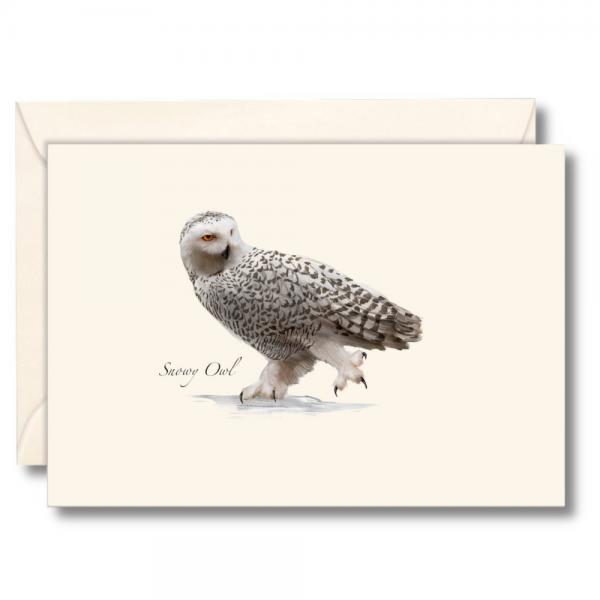 Snowy Owl Notecards