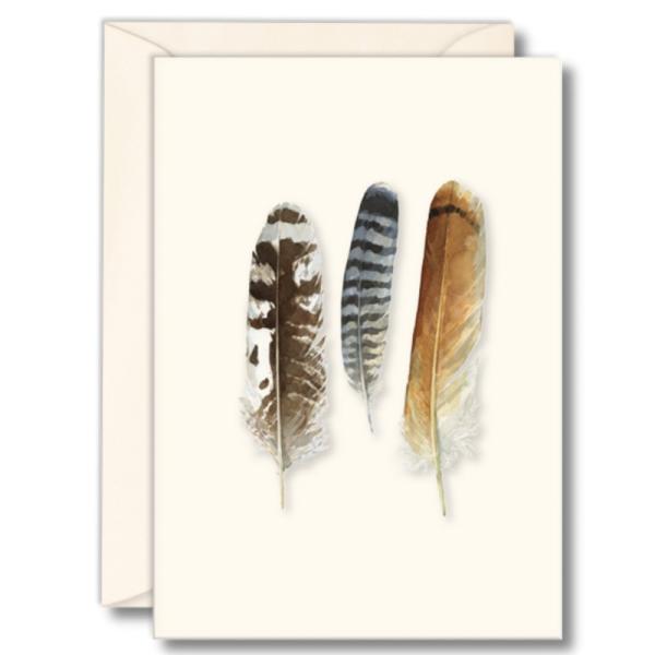 Raptor Feathers Notecards