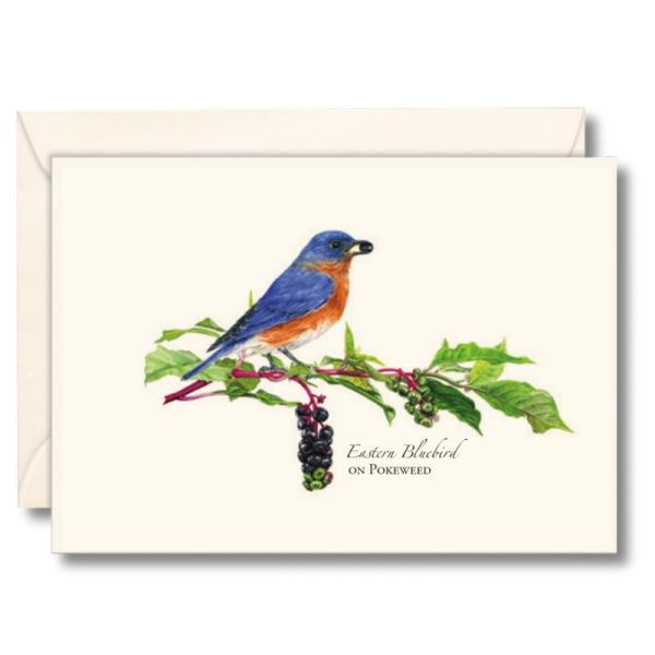 Bluebird with Pokeweek Notecards