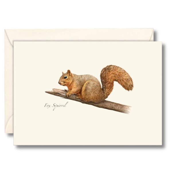 Fox Squirrel Notecards