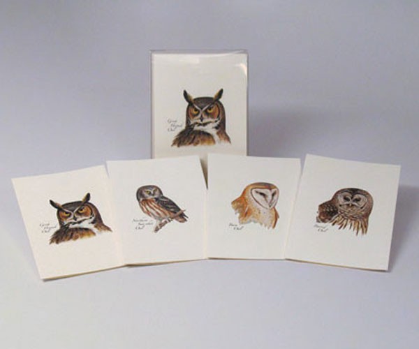 Petersons Owls Notecard Assortment