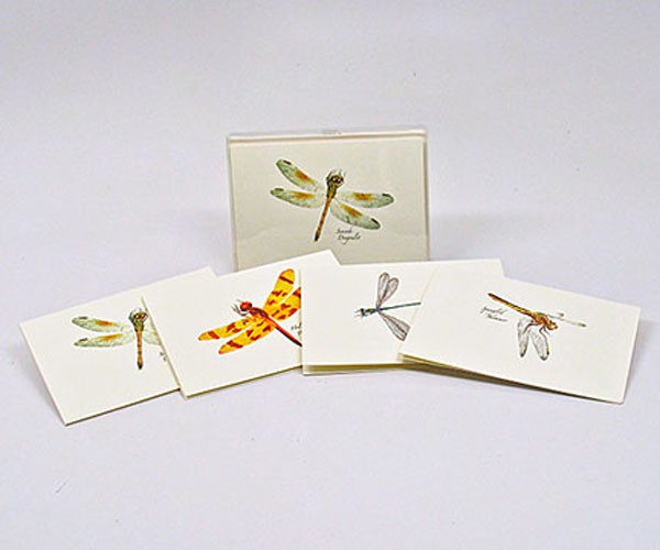 Dragonfly and Damselfly Notecard Assortment II