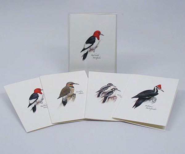Petersons Woodpecker Notecard Assortment