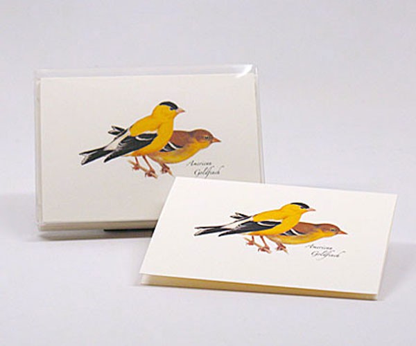 American Goldfinch Notecard Assortment