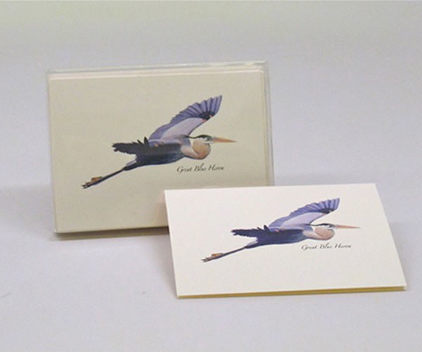 Blue Heron in Flight Notecards