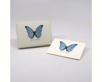 Blue Morpho Butterfly Notecards-LEWERSNC95