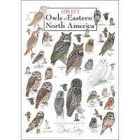 Owls of Eastern North America Poster-LEWERSOEPT117