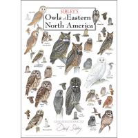 Owls of Eastern North America Poster-LEWERSOPET117