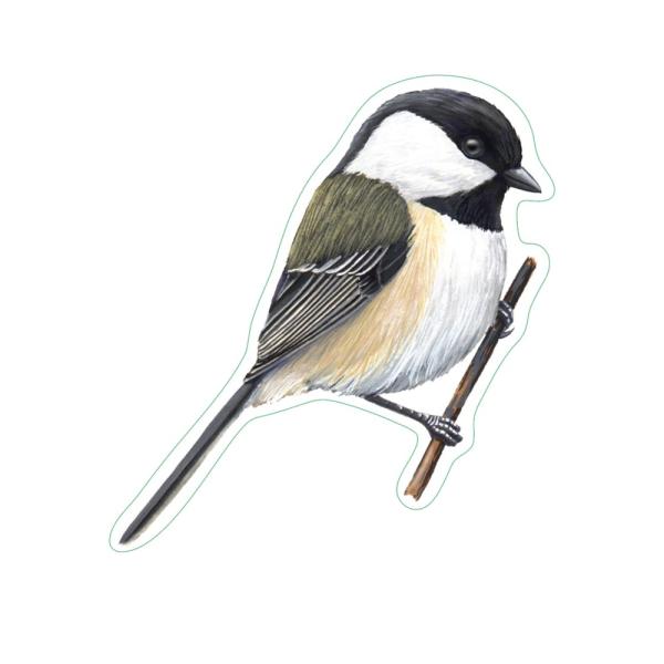 Chickadee Stickers 10/pk