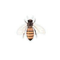 Honey Bee Stickers 10/pk-LEWERSSK1007