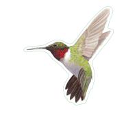 Ruby-throated Hummingbird Stickers 10/pk-LEWERSSK1009