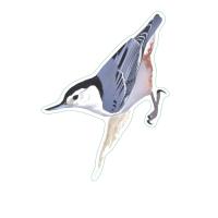 Whitebreasted Nuthatch Stickers 10/pk-LEWERSSK1032