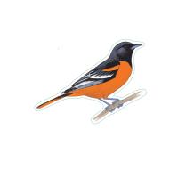 Baltimore Oriole Stickers 10/pk-LEWERSSK1034