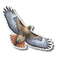 Red-tailed Hawk Stickers 10/pk-LEWERSSK2013