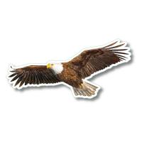 Bald Eagle Stickers 10/pk-LEWERSSK2017